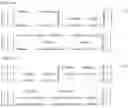 Fig. 09 - Method and system of computing and rendering the nature of atoms and atomic ions