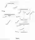 Fig. 02 - SYSTEM AND METHOD OF XML QUERY PROCESSING