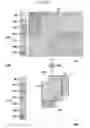 Fig. 22 - INPUT OF INFORMATION USING A PLURALITY OF SCREENS IN COMBINATION WITH DISPLAY OF KEY WITH COLORS, DISPLAY OF INFORMATION AND SYSTEM USING THEM
