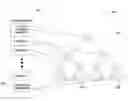 Fig. 01 - Distributed schemes for deploying an application in a large parallel system