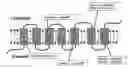 Fig. 01 - Nucleic acid molecules encoding prostaglandin receptor proteins