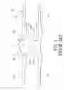 Fig. 02 - HEAD STRAP