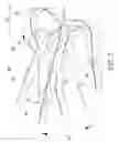 Fig. 08 - HEAD STRAP