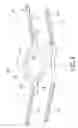 Fig. 09 - HEAD STRAP