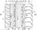 Fig. 01 - Pneumatic tire with tread having circumferential grooves and arcuate grooves