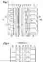 Fig. 02 - Pneumatic tire with tread having circumferential grooves and arcuate grooves
