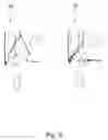 Fig. 10 - Extended Decompression Flap Arrangement