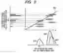 Fig. 09 - Mass spectrometer and mass spectrometric analysis method