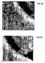 Fig. 40 - Ion sources, systems and methods