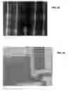 Fig. 46 - Ion sources, systems and methods