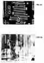 Fig. 47 - Ion sources, systems and methods