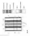 Fig. 07 - LDMOS integrated Schottky diode