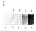 Fig. 13 - Light-assisted testing of an optoelectronic module