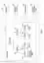 Fig. 02 - Dynamic data type aligned cache optimized for misaligned packed structures