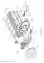 Fig. 38 - Printhead nozzle face wiper with non-linear contact surface