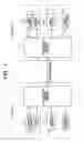 Fig. 02 - Teleconference terminal apparatus and image transmitting method