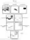 Fig. 01 - Systems and methods for analyzing image data using adaptive neighborhooding