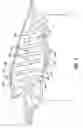 Fig. 07 - Turbine blade tip shroud