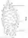 Fig. 09 - Turbine blade tip shroud