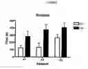 Fig. 03 - VDCC Gamma-8 Ion Channel