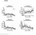 Fig. 05 - VDCC Gamma-8 Ion Channel