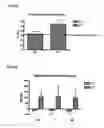 Fig. 07 - VDCC Gamma-8 Ion Channel
