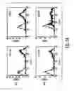 Fig. 02 - Mesenchymal Stem Cells And Uses Therefor