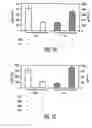 Fig. 03 - Mesenchymal Stem Cells And Uses Therefor
