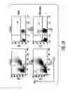 Fig. 04 - Mesenchymal Stem Cells And Uses Therefor