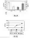 Fig. 05 - Mesenchymal Stem Cells And Uses Therefor