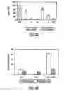 Fig. 07 - Mesenchymal Stem Cells And Uses Therefor