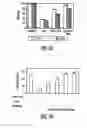 Fig. 08 - Mesenchymal Stem Cells And Uses Therefor