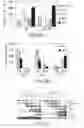 Fig. 04 - Mesoderm And Definitive Endoderm Cell Populations