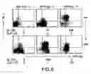 Fig. 08 - Mesoderm And Definitive Endoderm Cell Populations