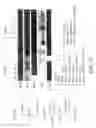 Fig. 17 - Mesoderm And Definitive Endoderm Cell Populations