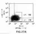 Fig. 31 - Mesoderm And Definitive Endoderm Cell Populations