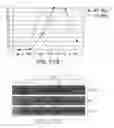Fig. 37 - Mesoderm And Definitive Endoderm Cell Populations