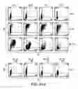 Fig. 41 - Mesoderm And Definitive Endoderm Cell Populations