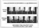 Fig. 01 - Methods and compositions for treating keratin hyperproliferative disorders
