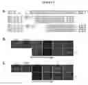 Fig. 07 - Methods and compositions for treating keratin hyperproliferative disorders