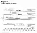 Fig. 04 - COMPOUND FORMS AND USES THEREOF