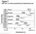 Fig. 08 - COMPOUND FORMS AND USES THEREOF