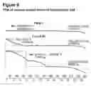 Fig. 09 - COMPOUND FORMS AND USES THEREOF