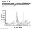 Fig. 26 - COMPOUND FORMS AND USES THEREOF