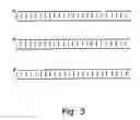 Fig. 04 - Small internally segmented interfering RNA