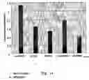 Fig. 16 - Small internally segmented interfering RNA