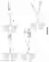 Fig. 08 - Method for making amphiphilic dendrimers