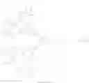 Fig. 16 - Method for making amphiphilic dendrimers