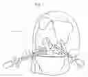 Fig. 02 - Atraumatic arthroscopic instrument sheath