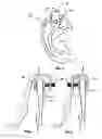 Fig. 02 - Device and Method for Treating Ear Injuries